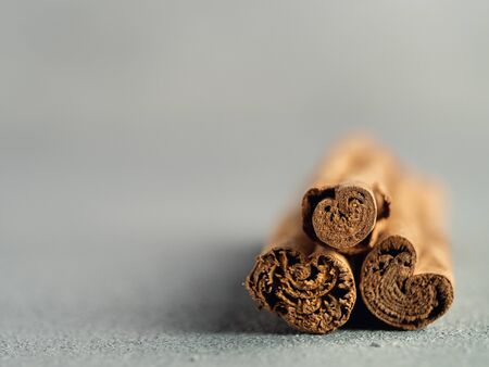 ceylon cinnamon sticks on gray stone background. True cinnamon sticks or ceylon cinnamon with copy...