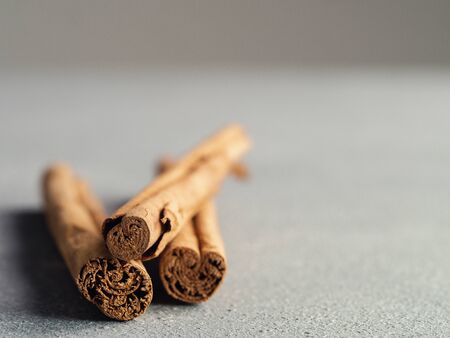 ceylon cinnamon sticks on gray stone background. True cinnamon sticks or ceylon cinnamon with copy...