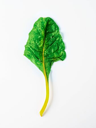 One swiss chard leaf isolated on white background. Fresh swiss rainbow chard with yellow and green colors, top view or flat layの写真素材