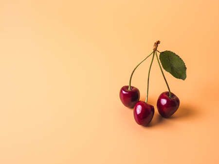Cherry on yellow creamy background. Fresh ripe sweet cherry bunch with 3 berries and green leaf with copy space left. Horizontal. Healthy eating, veganism and summer conceptの写真素材