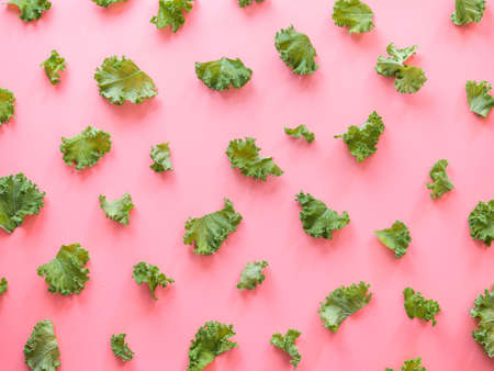 Fresh green kale leaves on pink background. Top view or flat lay. Creative pattern made from kale leaves. Copy space for text or design. Healthy eating, vegetarian food, dieting conceptの写真素材
