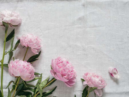 peony bouquet on white tableclothの写真素材