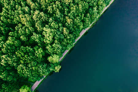 Amazing green forest, water aerial top view, copy space. Mixed deciduous trees and turquoise lake surface. Countryside woodland or park. Drone shoot above scenic landscape, diagonal narrow coastlineの写真素材