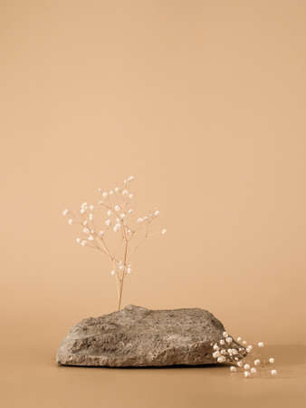 Mockup geometric shape podium. Stone shape with gypsophila flowers over pastel beige background. Can use as perfume and cosmetic mock up. Copy space. Vertical. Natural rock podiumの写真素材