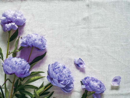 Beautiful delicate purple peonies. Top view of violet piones on white linen tablecloth background. Copy space. Flat lay. Demonstrating color of 2022 year very peri in floristic and wedding industryの写真素材