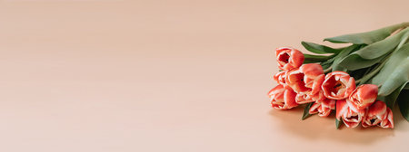 Red tulips bouquet as floral mockup. Beauty, style, fashion. Bunch of beautiful red tulip on beige background. Long horizontal banner, copy space. International womens day, march 8 aesthetic conceptの写真素材