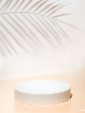 Circle podium or pedestal on pastel background. Podium mockup for cosmetic, packaging product presentation with tropical leaf shadow. Natural podium in hard light. Real photoshot. Verticalの写真素材