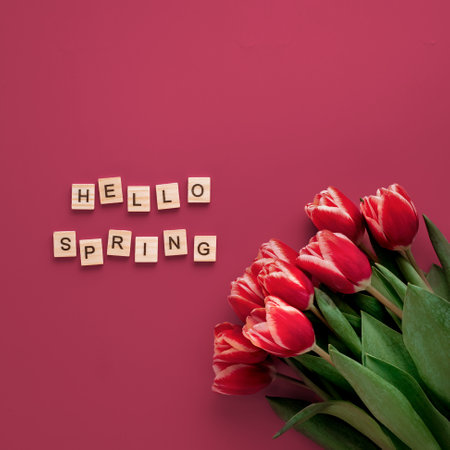 Hello spring concept in Viva Magenta red color. Aesthetic background for beginning of spring. Hello spring text and bunch of red tulip on red Viva Magenta Color 2023 background. Top view or flat layの写真素材