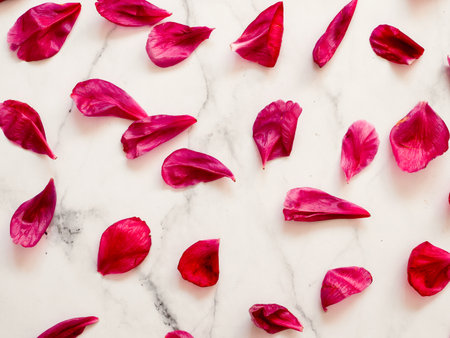 Red peony or rose petals flat lay on white marble background. Flower petals for minimal holiday concept. Creative layout made of flowers leaves. Flat lay pattern.の写真素材