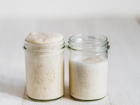 Two glass jars with wheat sourdough starters in different hydration levels. Starter 100 percent hydration - left and starter with higher hydration - right. Copy spaceの写真素材