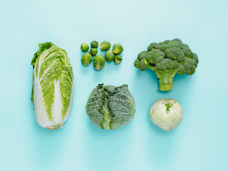 Different types of cabbage - broccoli, brussles sprout, napa cabbage, kohlrabiの写真素材