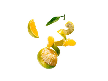 Fresh ripe green mandarine with spiral zest flying in air. Half peeled, cut and peeled slices green tangerine and green leaf isolated on white background with clipping pathの写真素材