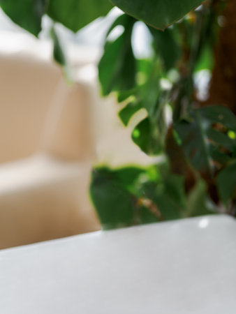 Empty white table in modern room, kitchen, restaurant interior with green monstera plant and light beige sofa background. Blank table for placing products with beautiful restaurant backdrop. Verticalの写真素材