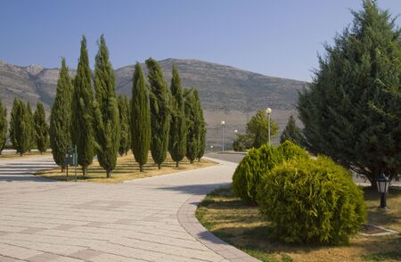 Cypress alley in Trebinje, Bosnia and Herzegovinaの写真素材