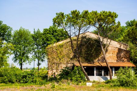 abandoned brick farmhouse with maritime pines with blue skyの写真素材