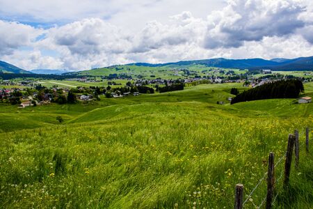 wonderful view of the mountains around the Asiago plateau with green pastures with yellow and white...