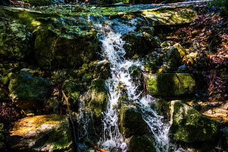 beautiful waterfall of a mountain stream with lush greenery at Lake Ledro in Trento, Italyの写真素材