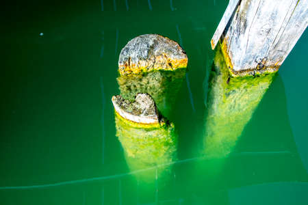 old wooden poles immersed in the placid waters of Lake Caldaro in Bolzano, Italyの写真素材