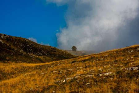 Alpine pastures surrounded by the peaks of the Veronese Pre-Alps in the Regional Park of the Lessini...