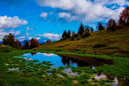 autumn foliage in the path of the big trees in the Venetian pre-Alps, is reflected in the waters of...