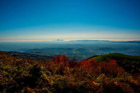 road with autumn foliage landscape with trees colored red and yellow on Monte Corno in Lusiana,...
