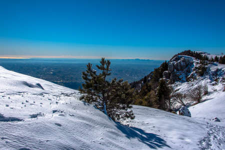 glimpses of snow on Monte Grappa with blue sky and green trees, Vicenzaの写真素材