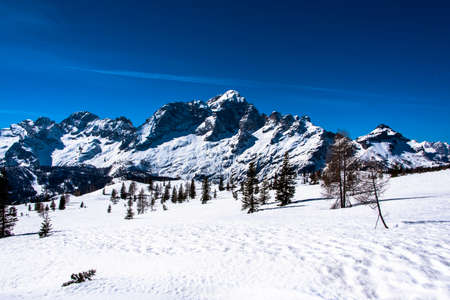 Dolomite rocks with snow and pine trees on a winter day with the blue sky over the Val di Zoldo, Belluno, Italyの写真素材