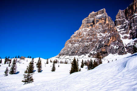 Dolomite rocks with snow and pine trees on a winter day with the blue sky over the Val di Zoldo, Belluno, Italyの写真素材