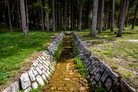 water channel in the woods of the Belluno Dolomites in Cortina D Ampezzo in the Boite basin in Belluno Veneto Italyの写真素材
