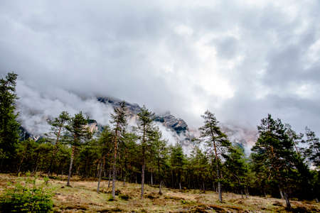 pines rocks and clouds in the Belluno Dolomites in Cortina D Ampezzo in the Boite basin in Belluno Veneto Italyの写真素材