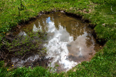 clouds are reflected on a puddle of water with pine branches Falzarego pass in Cortina d'Ampezzo Belluno Italyの写真素材