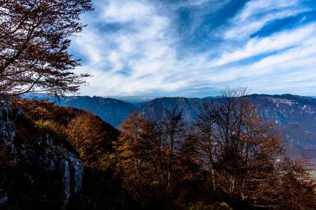 view of yellow red and green trees with autumn colors and rocks between valleys and mountains in Pieve Bel Vicino Schio Vicenza Veneto Italyの写真素材