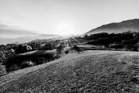 Alpine pasture with horses at sunset in Autumn in Schio Vicenza Veneto Italyの写真素材