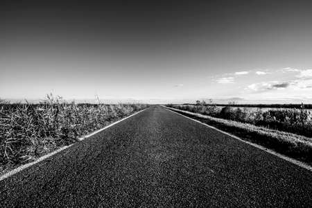 cracked asphalt from the heat of a lonely road on a sunny summer dayの写真素材