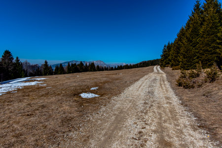 country road leads away between the pasture meadows and the woods of Lusiana Asiago Vicenzaの写真素材