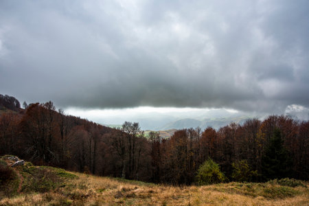 alpine valley with woods variegated from green to yellow to orange with clouds and suggestive fog that envelops the alpine peaks at Durlo in the Lessini park Vicenzaの写真素材