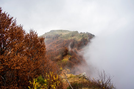 alpine peaks with woods variegated from green to yellow to orange with clouds and suggestive fog...