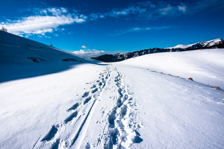 alpine panorama with snow and snowy paths with footprints in the snow and evergreen pine woods at Campo Fontana nei Lessini in the Province of Vicenza Veneto Italyの写真素材