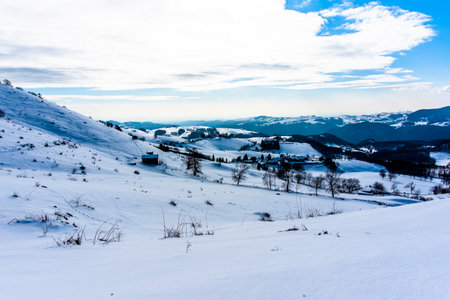 alpine panorama with snow and snowy paths with footprints in the snow and evergreen pine woods at Campo Fontana nei Lessini in the Province of Vicenza Veneto Italyの写真素材