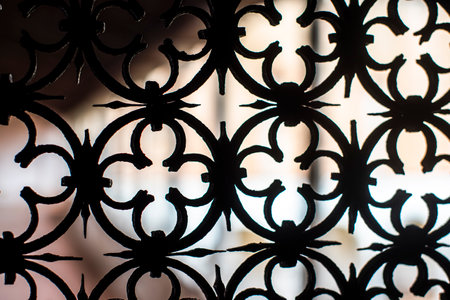 wrought iron grille with circles and roses black gate in Treviso Veneto Italyの写真素材