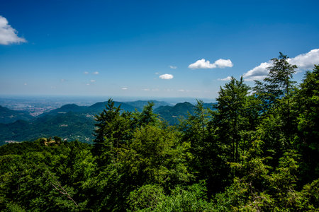 mountain landscape view of the small Vicenza Dolomites with rocks and pasture meadows, pine forests...