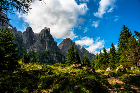 Dolomite mountains and Alps peaks with green meadows and rock spiers among woods and alpine pastures...