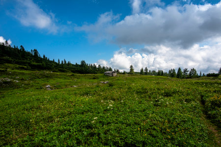 alpine refuge at Mount Ortigara, theater of the First World War, among green fields and grazing meadows on the atypical Asiago plateau Vicenza Veneto Italyの写真素材