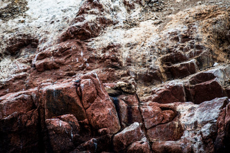 sea lions on the ocean reefs of the Ballestas Islands from Paracas in Peruの写真素材