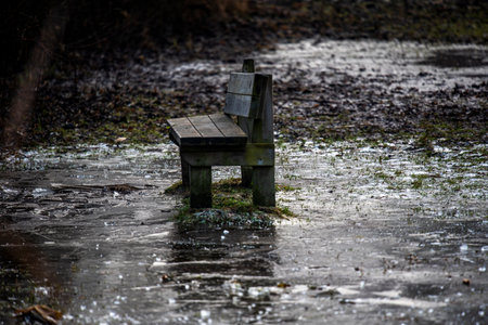 abandoned and lonely wooden bench under the autumn trees among the frozen waters of Fimon lake in Vicenzaの写真素材