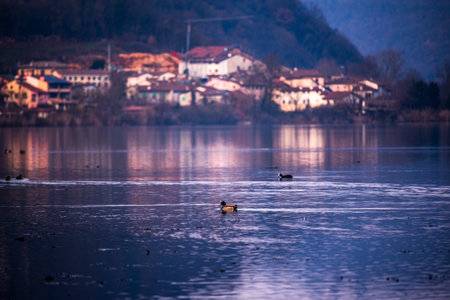 panorama of Fimon lake among the calm and quiet waters on an autumn day among trees and hills of Fimon lake in Vicenzaの写真素材