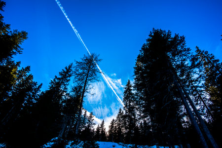 white trail on blue sky of an airliner between the woods and snow of Cortina D Anpezzoの写真素材