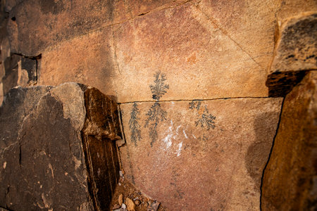 fossil plant embedded in the rocks of the Moroccan Atlas in Jebel Saghro near Ouarzazate in...