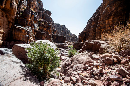 dry river between Jebel Saghro and Bab N Ali of the Moroccan Atlas between Ouarzazate and Marrakesh dry river without water Moroccoの写真素材