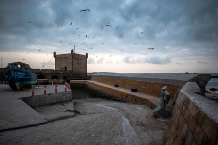 seagulls on the rocks of the port of Essaouira between the castle of the port the bollards and the ocean breaking on the beach in Moroccoの写真素材